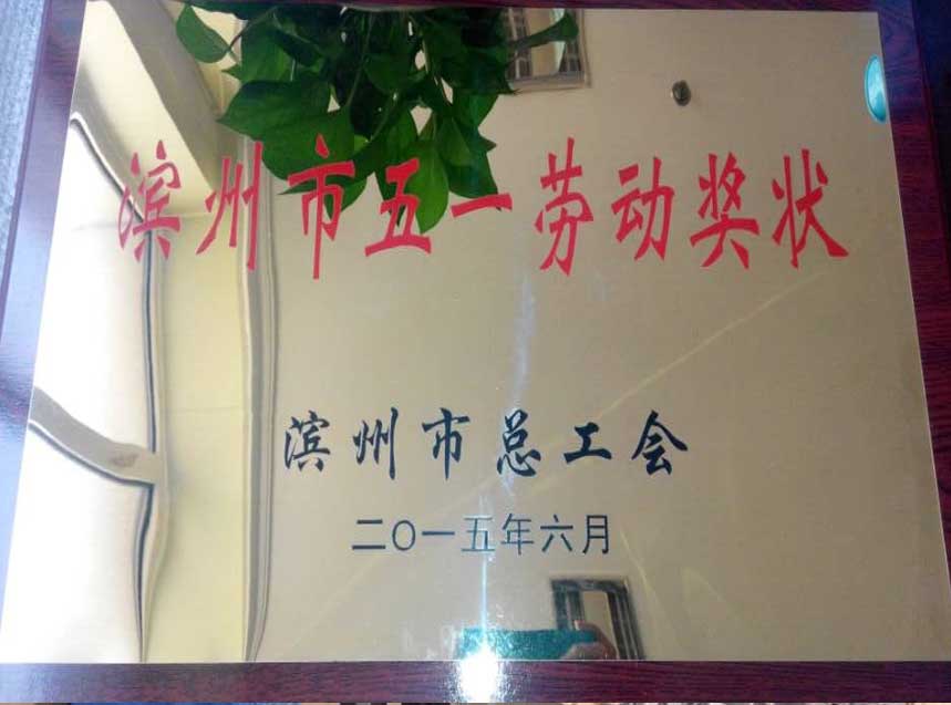 热烈祝贺我意甲买球官网（中国）有限公司获得滨州市五一劳动奖状！
